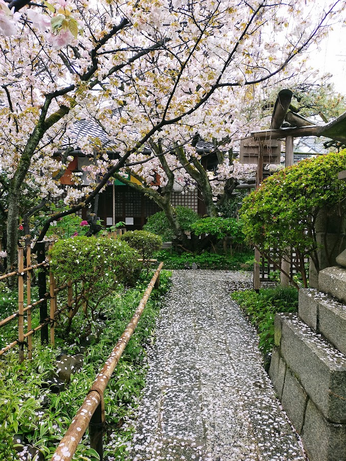 雨宝院